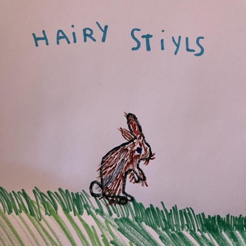 Hairy Styles