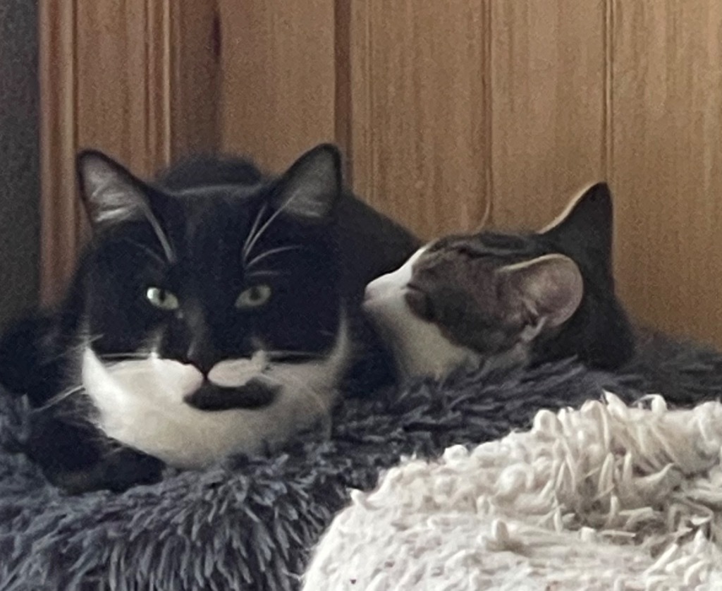 Simon / Garfunkel