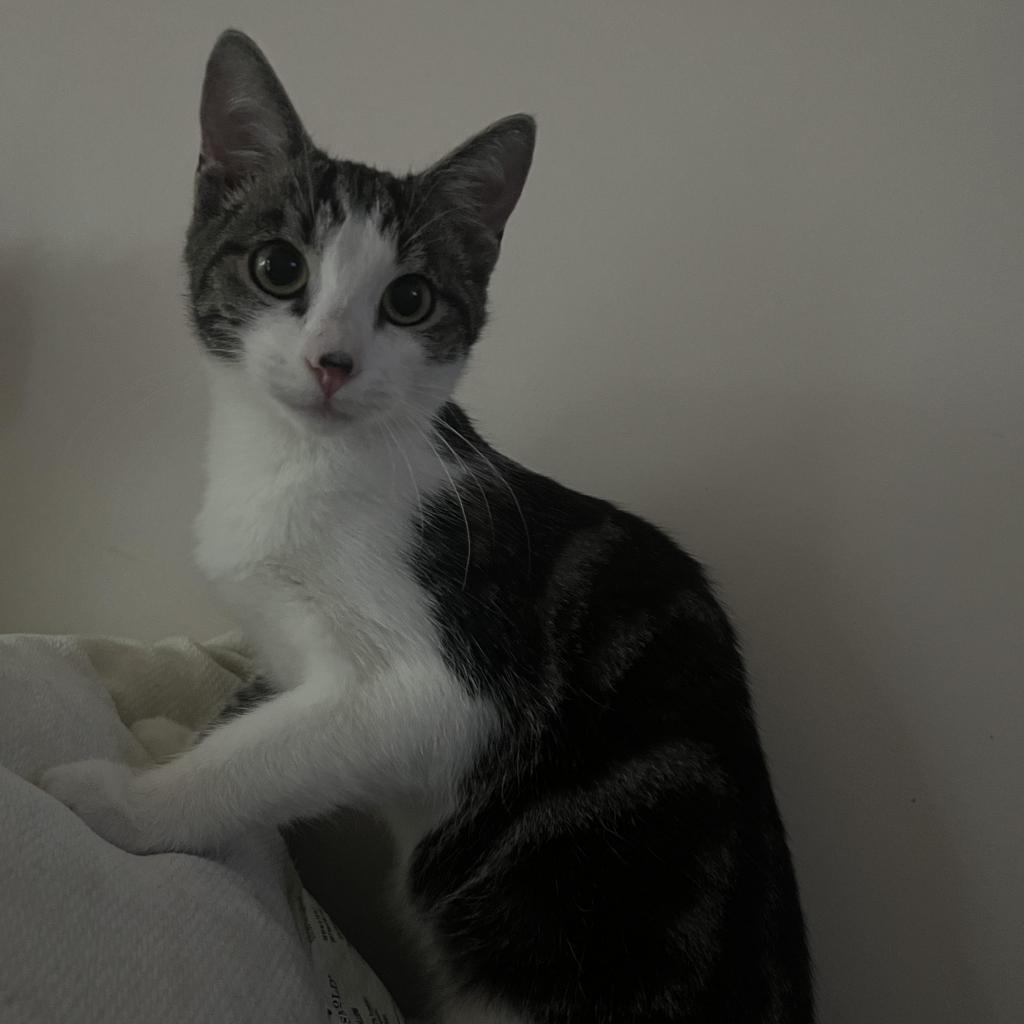 Vinny