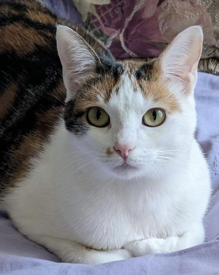 Kimber (aka Cindy Crawford)