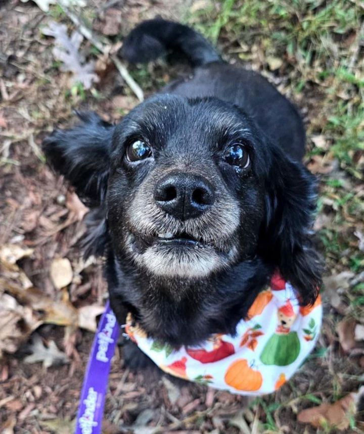 Buffy (In Foster) 2