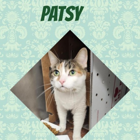 Patsy