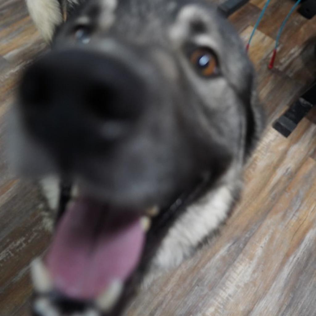 Teddy Photo