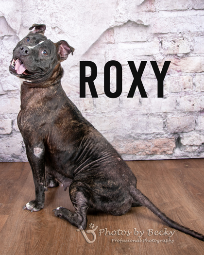 Roxy