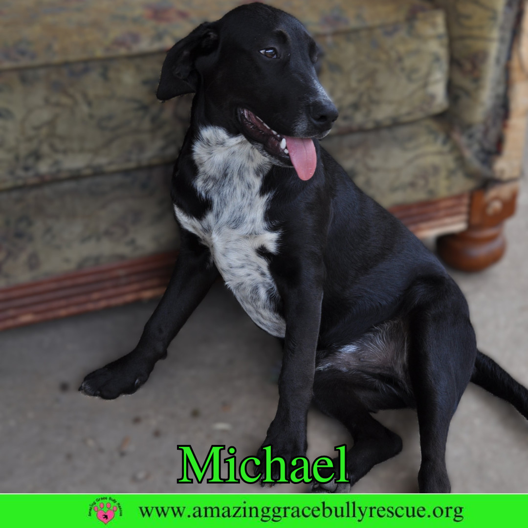 Michael
