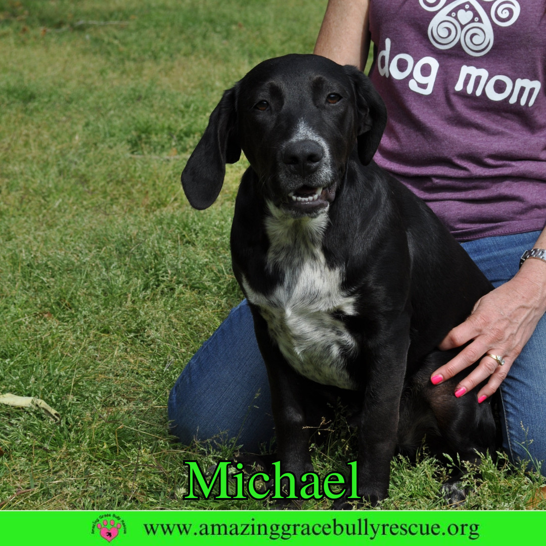 Michael