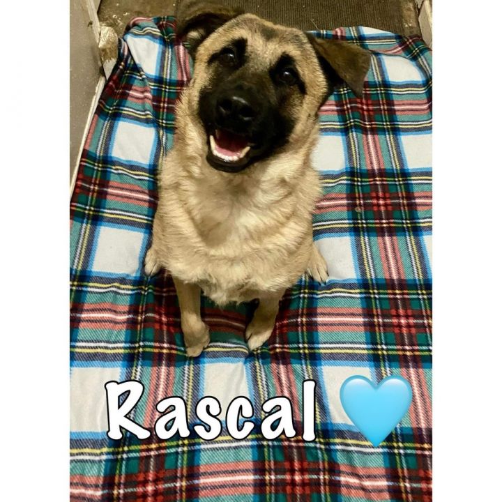 Rascal 1