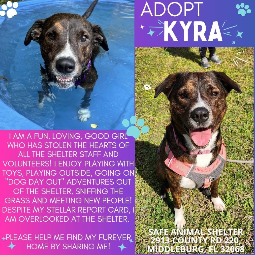 Kyra 25904