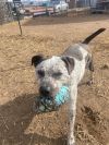 Barkley photo 2