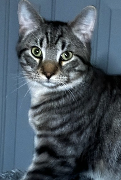 Jack