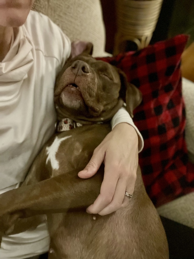 Bella