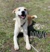 Donny photo 1
