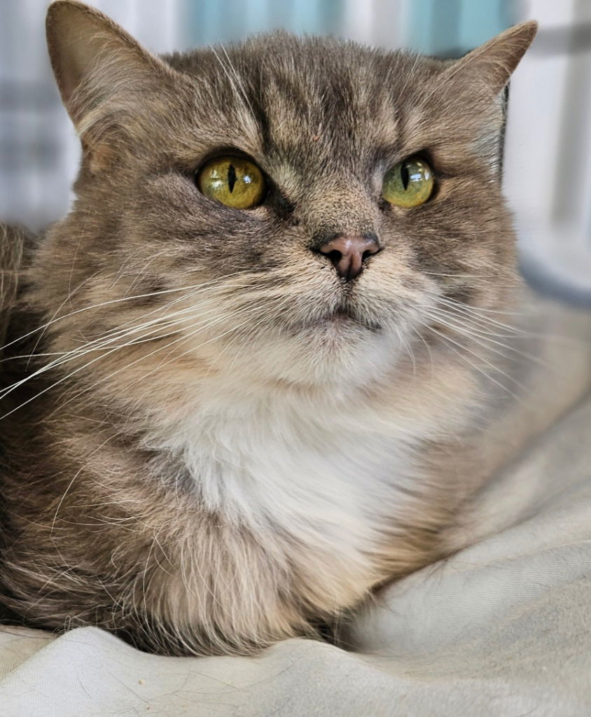 Pretty Girl