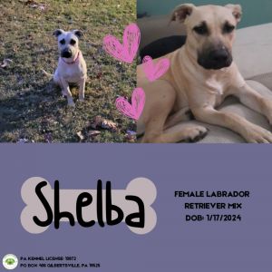 Shelba