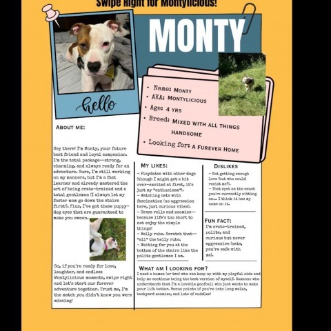 Monty 2