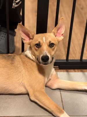 Wioleta is a sweet girl who may be shy at first but she gains confidence immediately with a little 