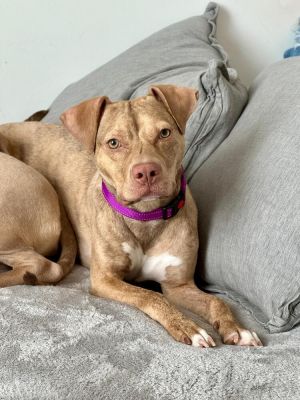 Nieveah is the sweetest girl you could ever meet Unfortunately her journey took a difficult turn w