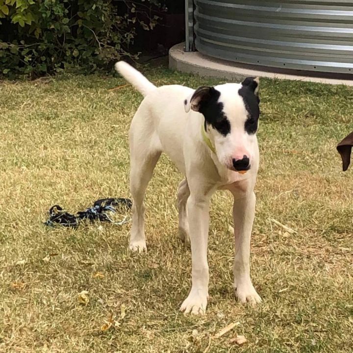Bandit 3