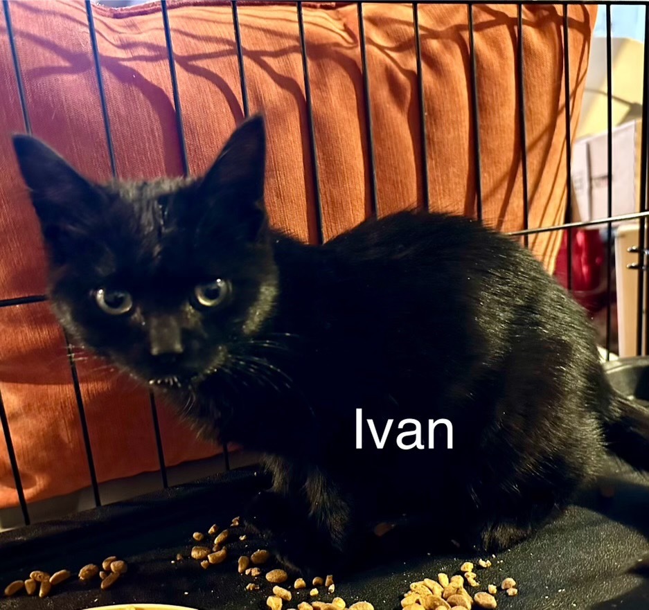 Ivan