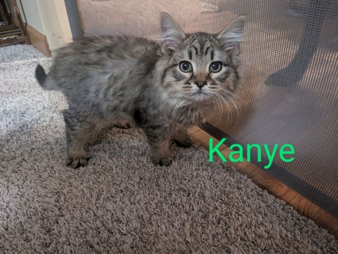 Kanye