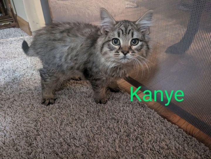 Kanye 1