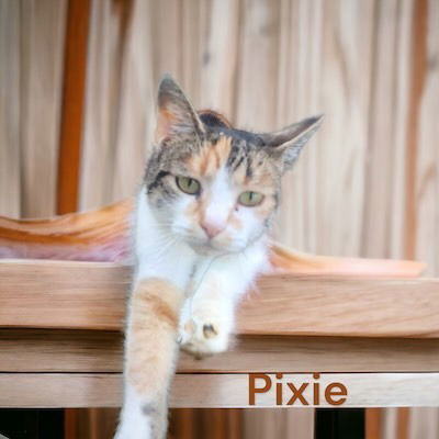Pixie