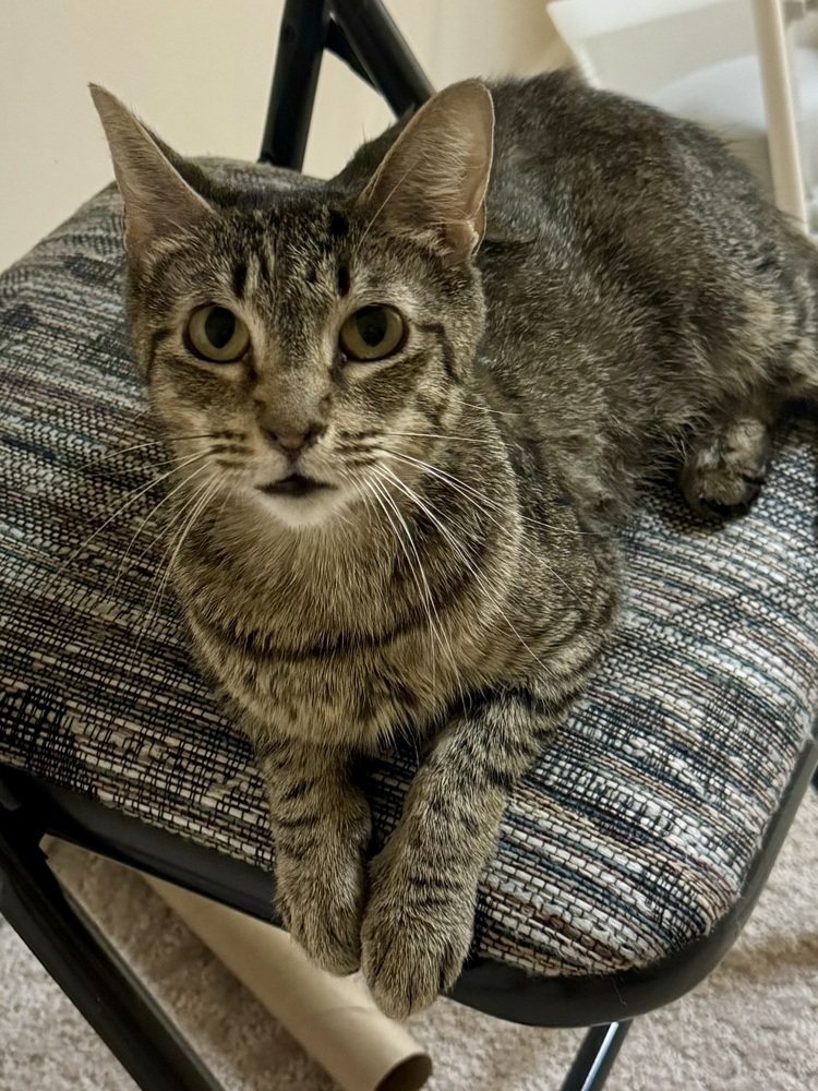 Zera