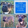 2024-10-166 *Jimbo* photo 1