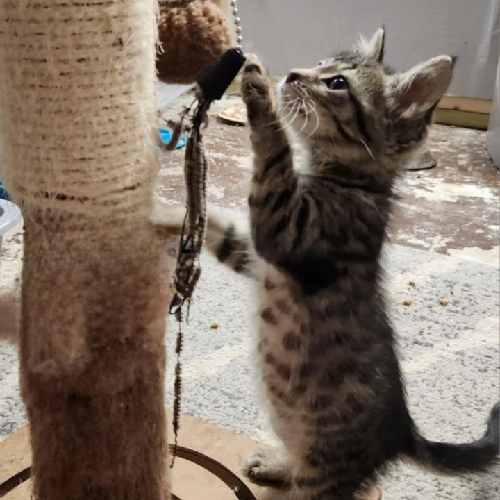 Penelope 2