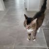 Wally photo 2