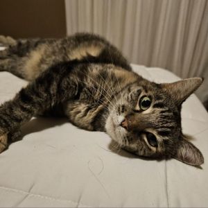 Eloise