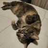 Eloise photo 5