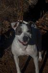 2024-11-021 *Cookie* photo 2