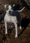 2024-11-021 *Cookie* photo 3