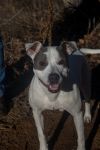 2024-11-021 *Cookie* photo 4