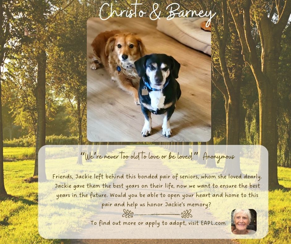 Barney & Cristo Bonded Pair