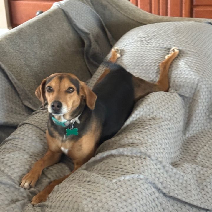 Bailey 1