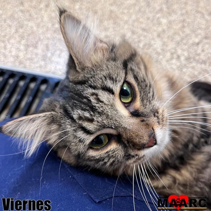 Viernes 2