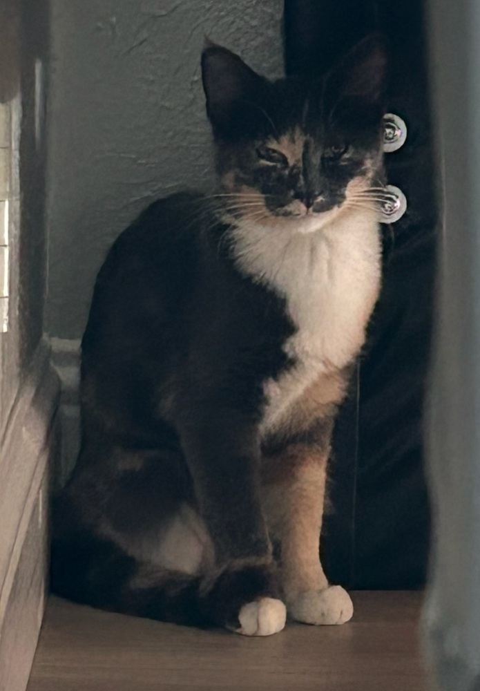 Indigo cp. 832 630 4177 1