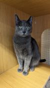 Jenny From The Block 4745 photo 2