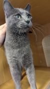 Jenny From The Block 4745 photo 3