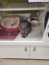 Jenny From The Block 4745 photo 4