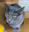 Jenny From The Block 4745 photo 6
