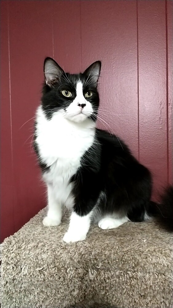 Jamison aka Jamie 1