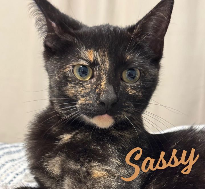 Sassy #patio-posse 2