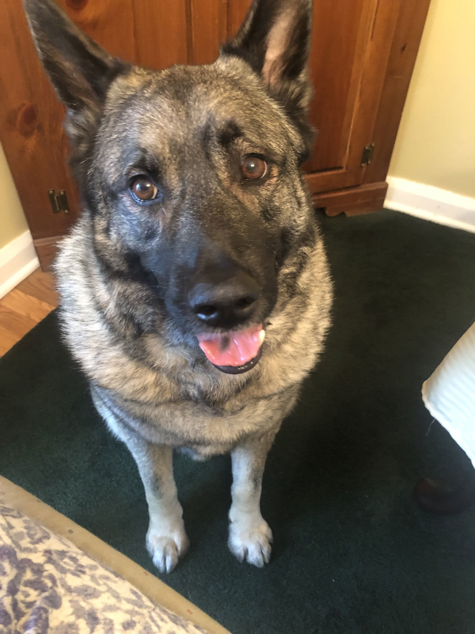 Axel