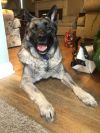 Axel photo 2