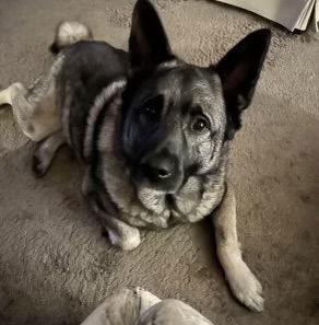 Axel
