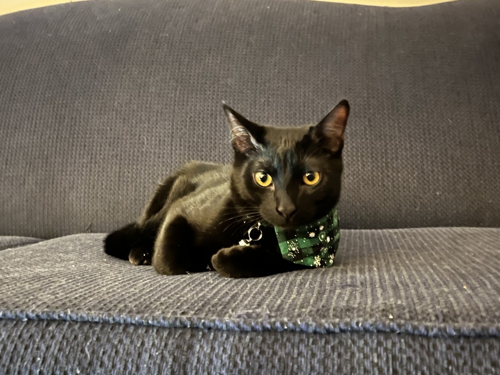 Giorgio Armani