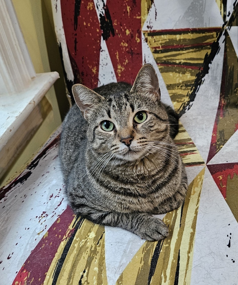 Tigger